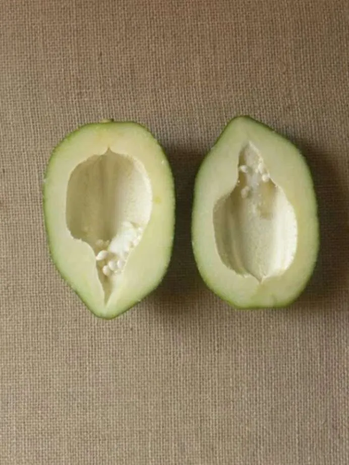 27556 papaya honey mask